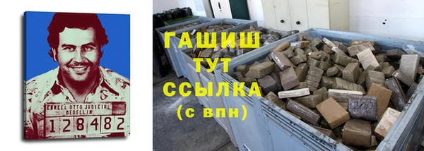 сатива Алзамай